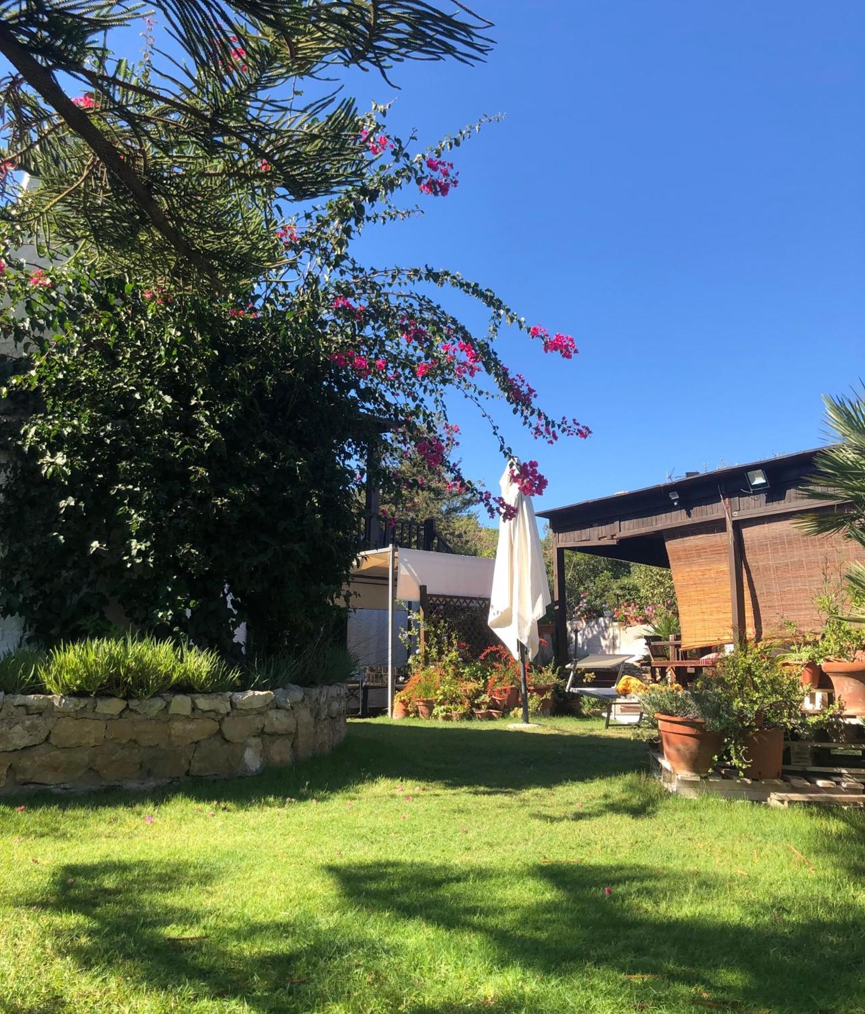 Villa Il Giardino Su Capo Caccia Alghero Esterno foto